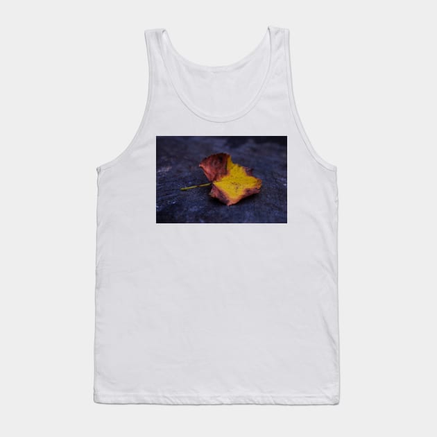 Autumn on Fire Tank Top by hextrovert